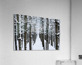 Passage Acrylic Print