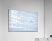 White Acrylic Print