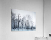 Nature Acrylic Print