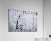 Details Acrylic Print