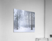 Refuge Acrylic Print