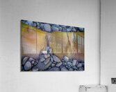 Fascination Acrylic Print