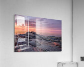 Vibrance Acrylic Print