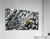 Swirl Acrylic Print