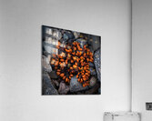 Explosion Acrylic Print