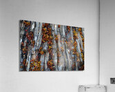Folded Acrylic Print