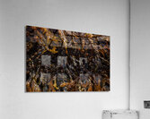 Tidal Zone Acrylic Print