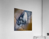 Comfort Acrylic Print