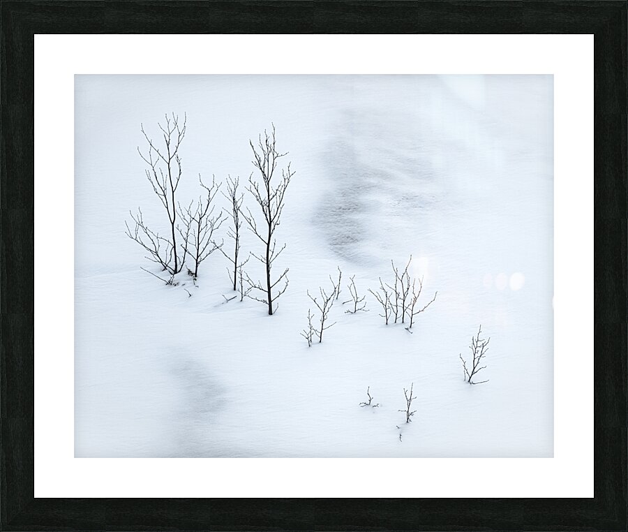 Snowplay Picture Frame print