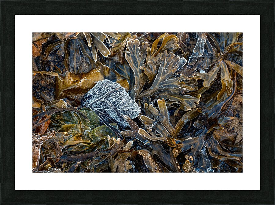 Evidence Picture Frame print