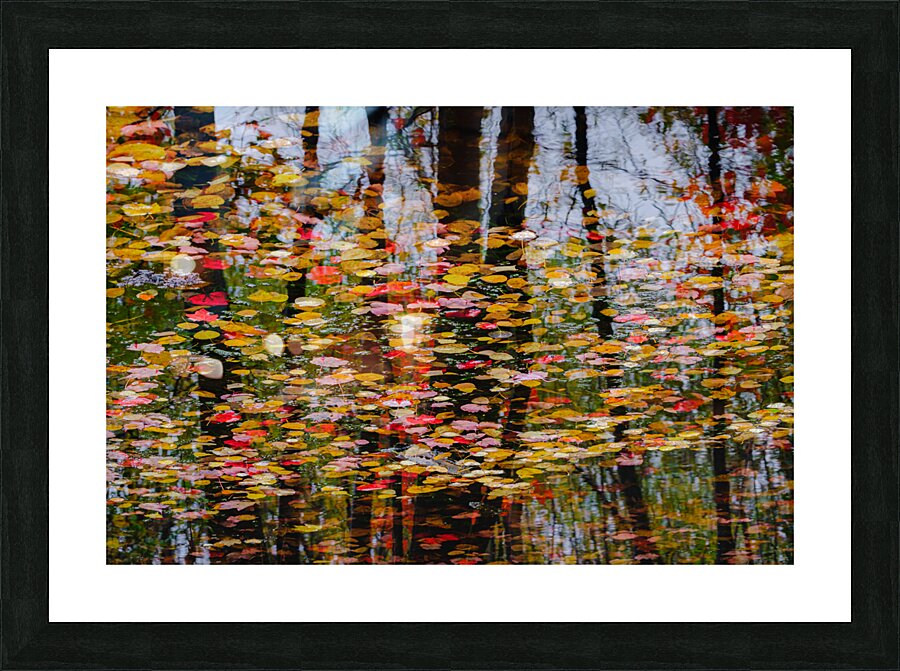 Symphony Picture Frame print