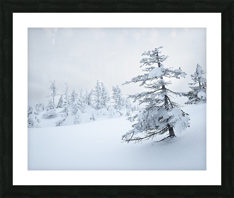 Winterportrait Picture Frame print
