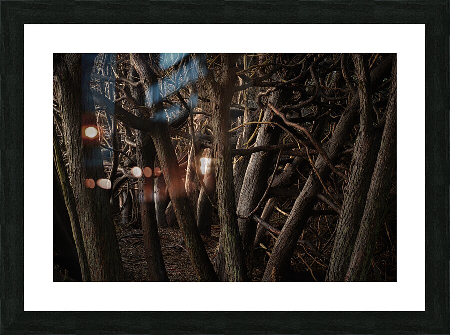 Exploring Picture Frame print