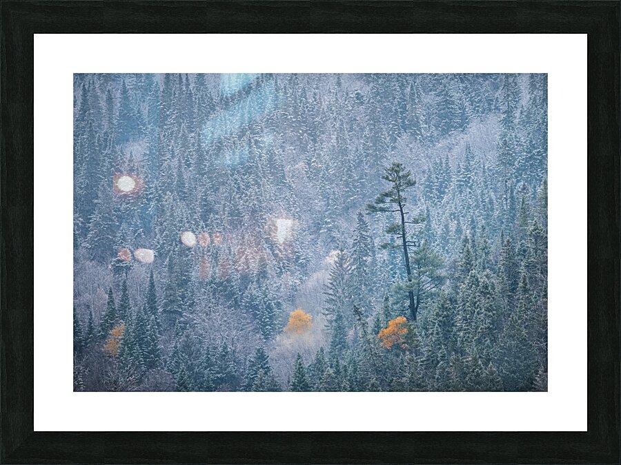 Striking Picture Frame print