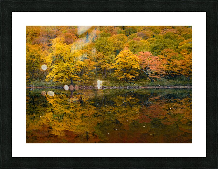 Resplendent Picture Frame print