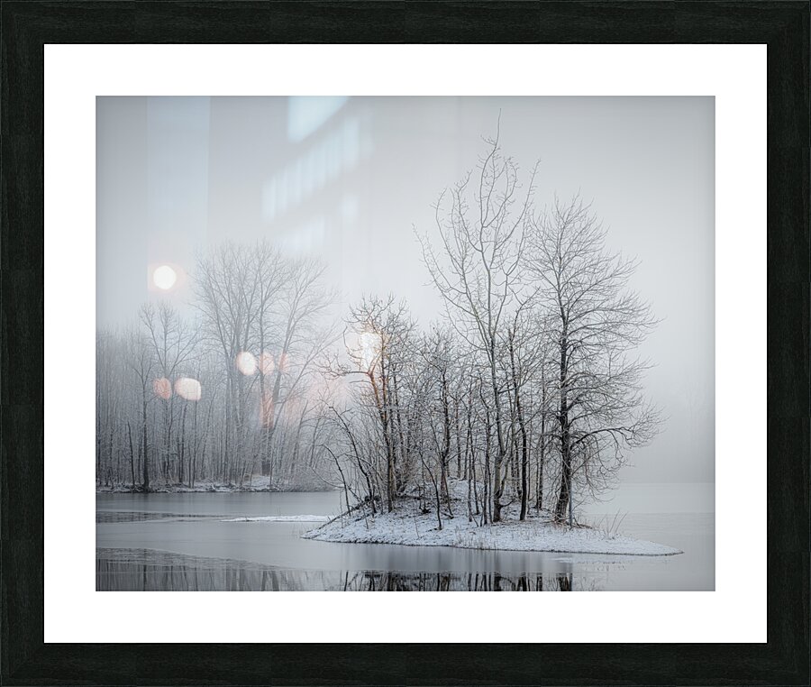 Tableau Picture Frame print