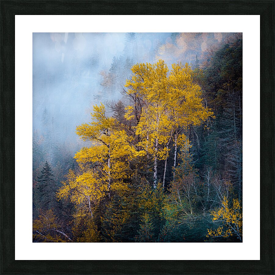 Intensity Picture Frame print