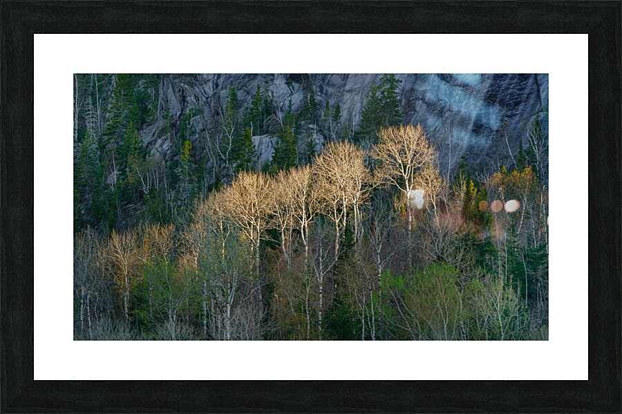 Enlighten Picture Frame print
