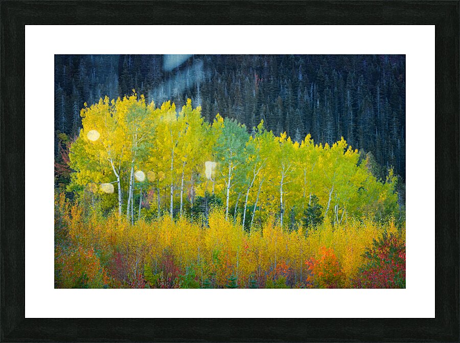 Transient Picture Frame print