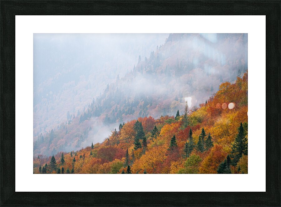 Silence Picture Frame print