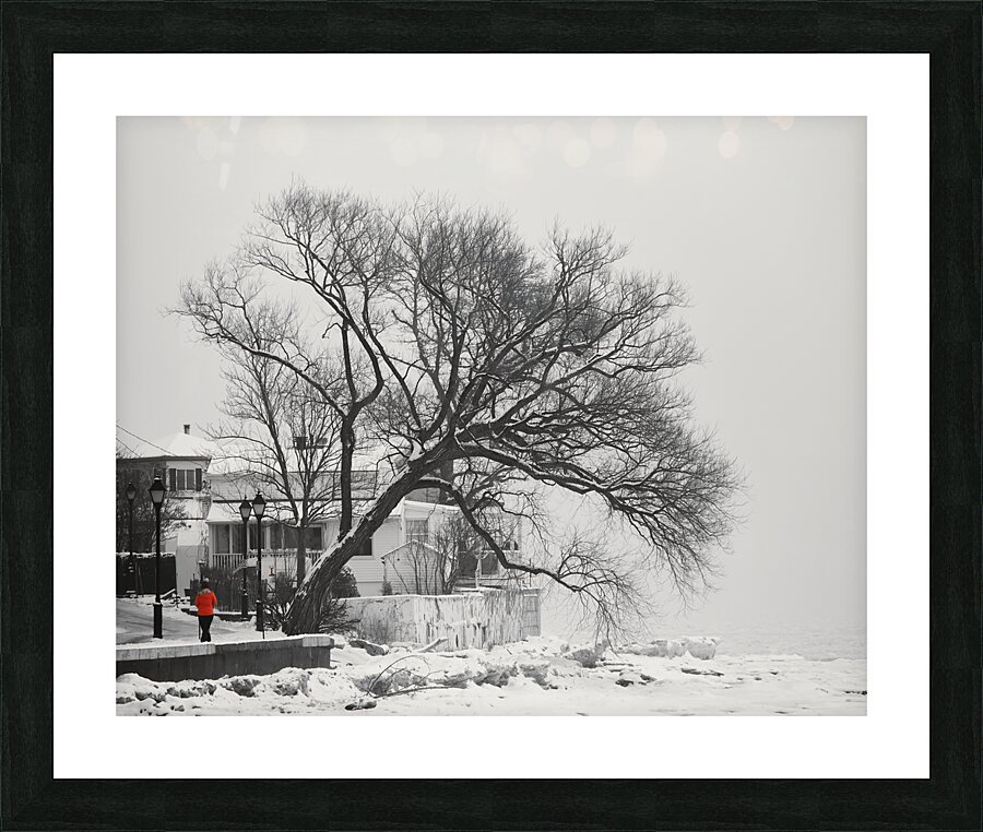 Quebec Picture Frame print