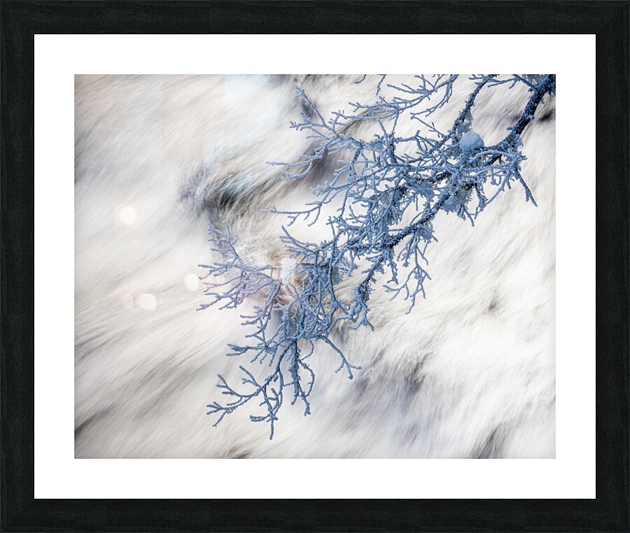 Freeze Picture Frame print
