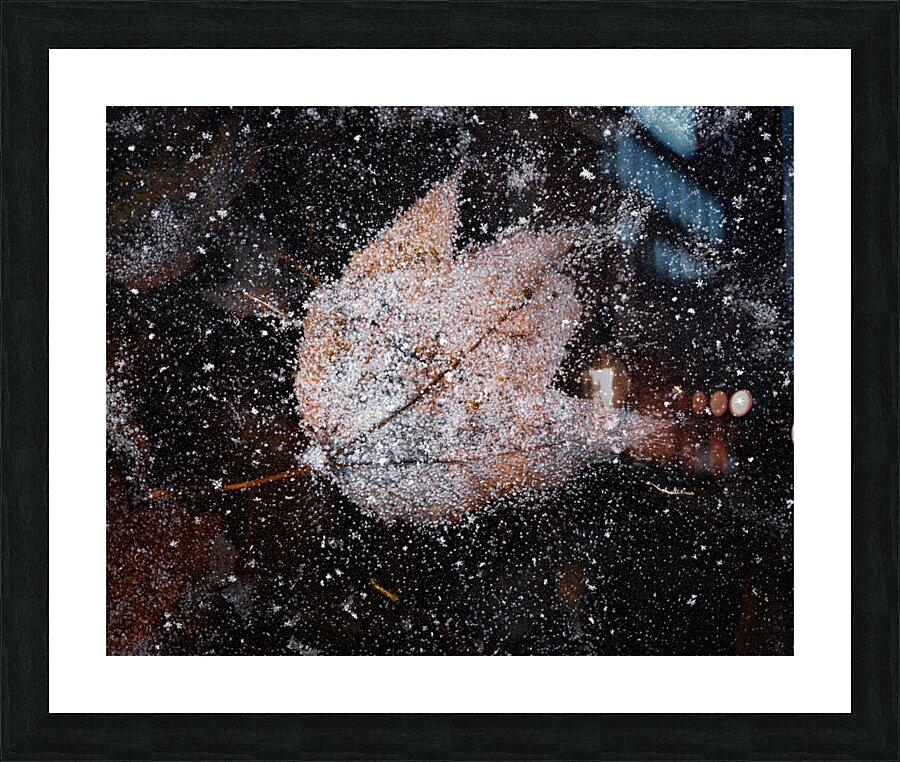 Obscurity Picture Frame print