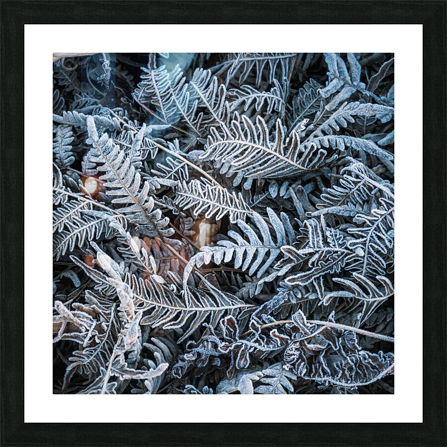 Crystalized Picture Frame print