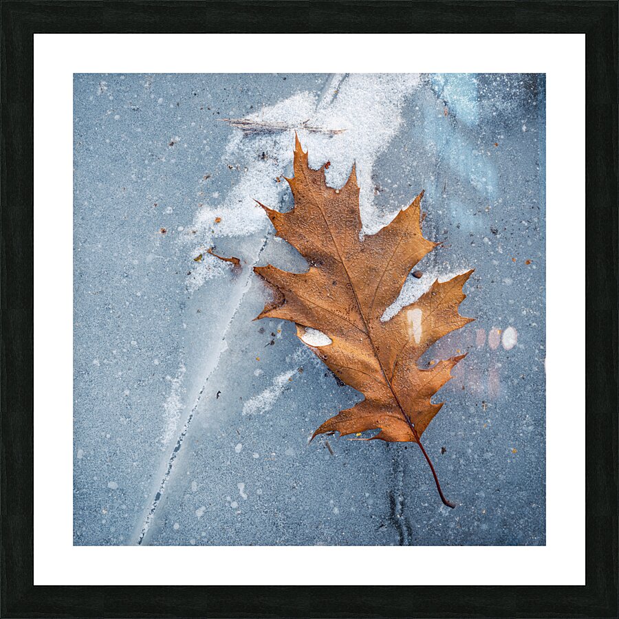 Stuck Picture Frame print