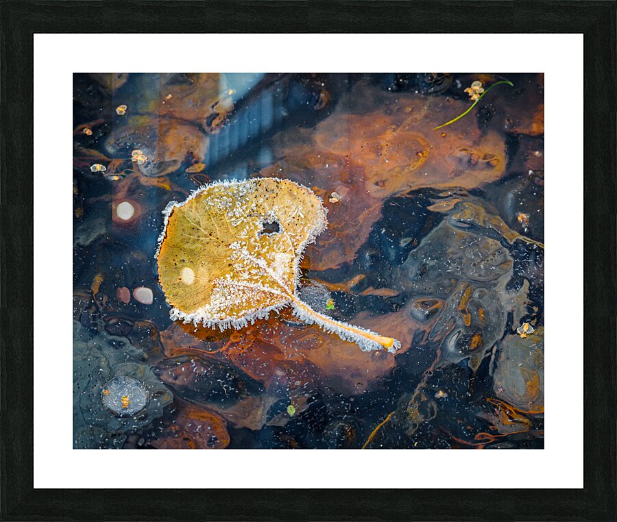 Transient Picture Frame print