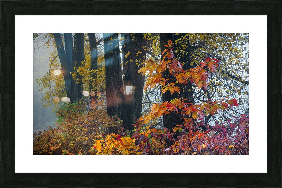 Enchanted Picture Frame print