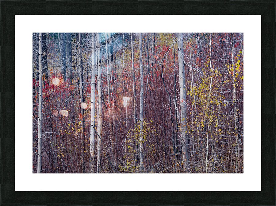 Ablaze Picture Frame print