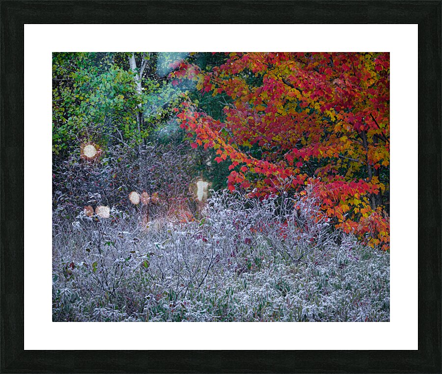 Overlap Picture Frame print