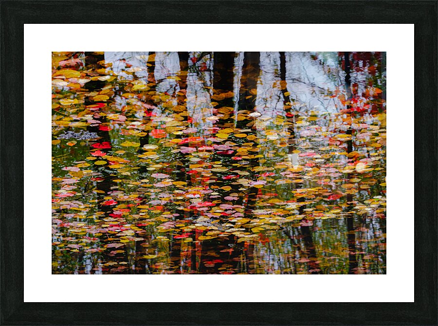 Symphony Picture Frame print