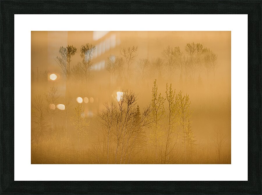 Change Picture Frame print