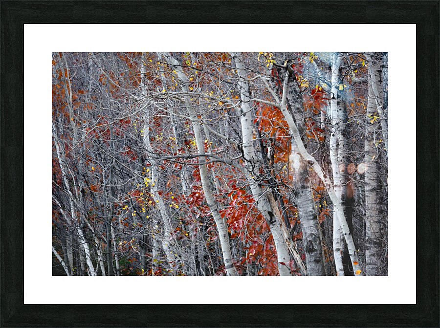Exploring Picture Frame print