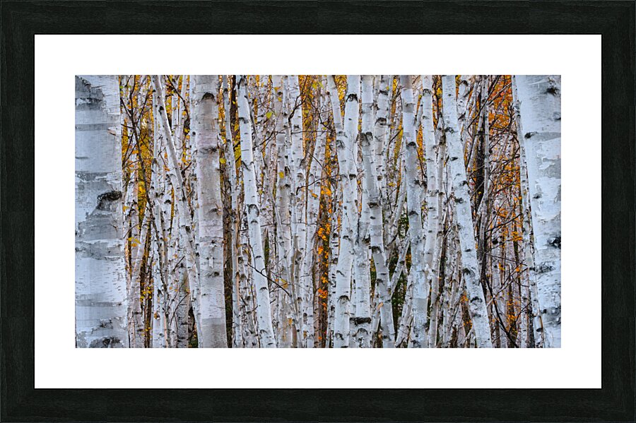 Separation 2 Picture Frame print