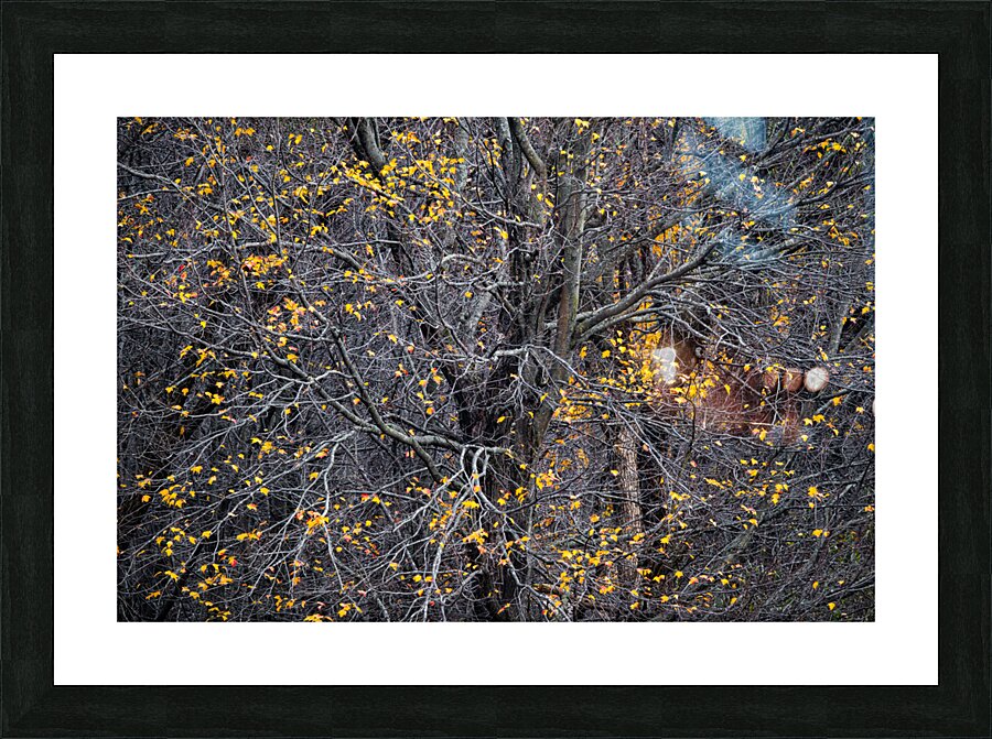 Universe Picture Frame print