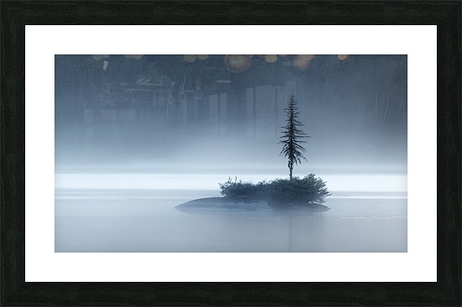 Secluded Picture Frame print