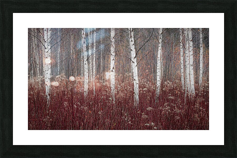 Melancholy Picture Frame print