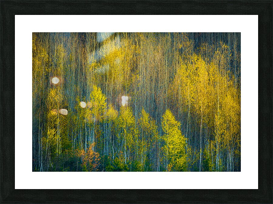 Shining Picture Frame print