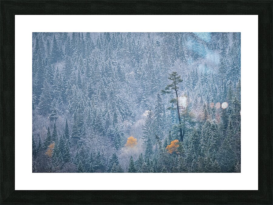 Striking Picture Frame print