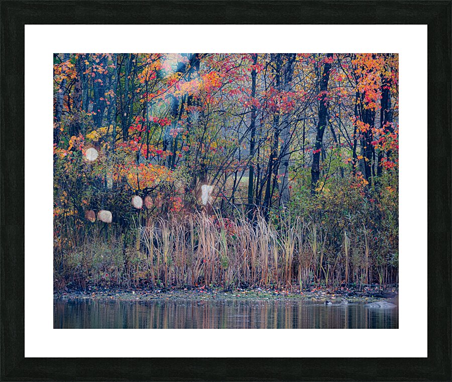 Painting Picture Frame print