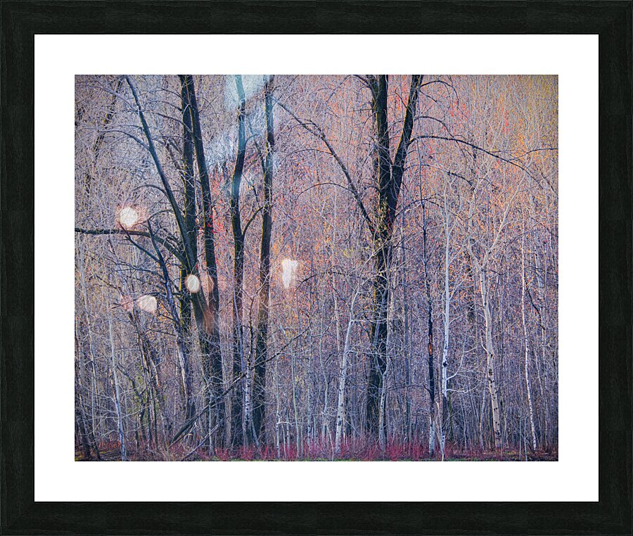 Lethargic Picture Frame print