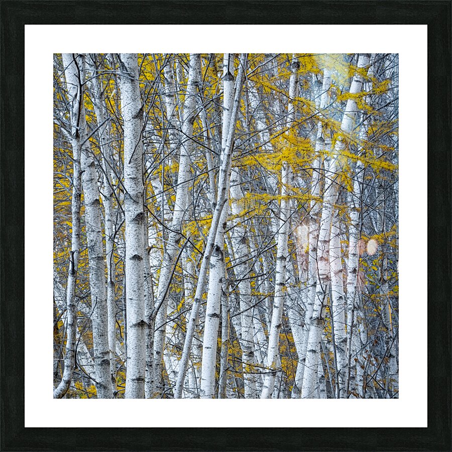 Intricate Picture Frame print