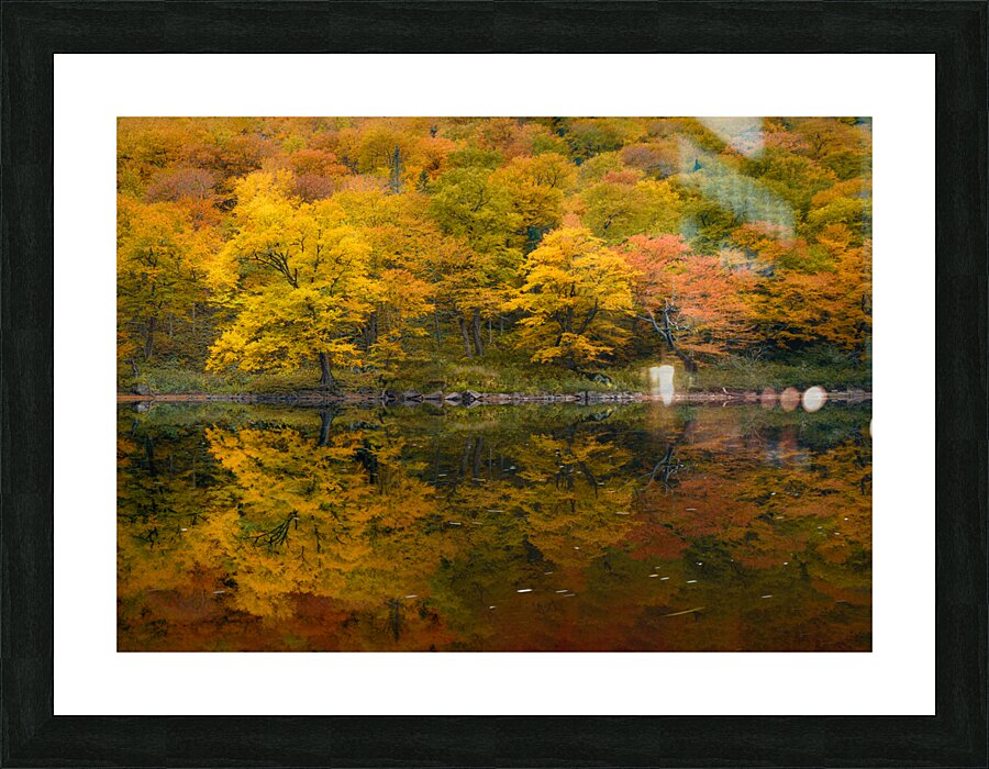 Resplendent Picture Frame print