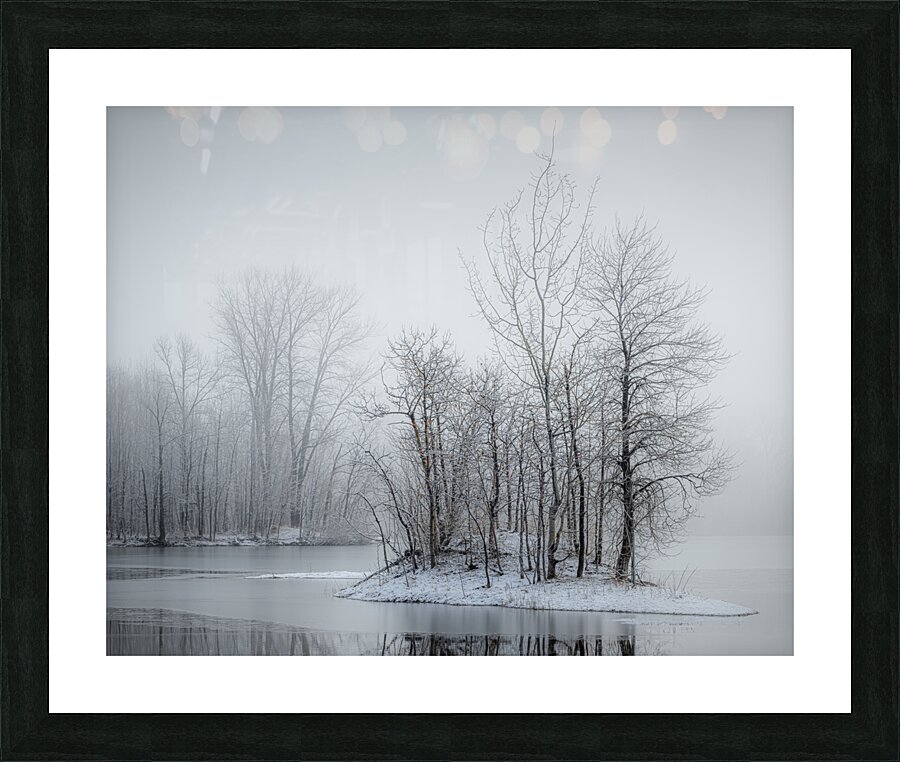 Tableau Picture Frame print