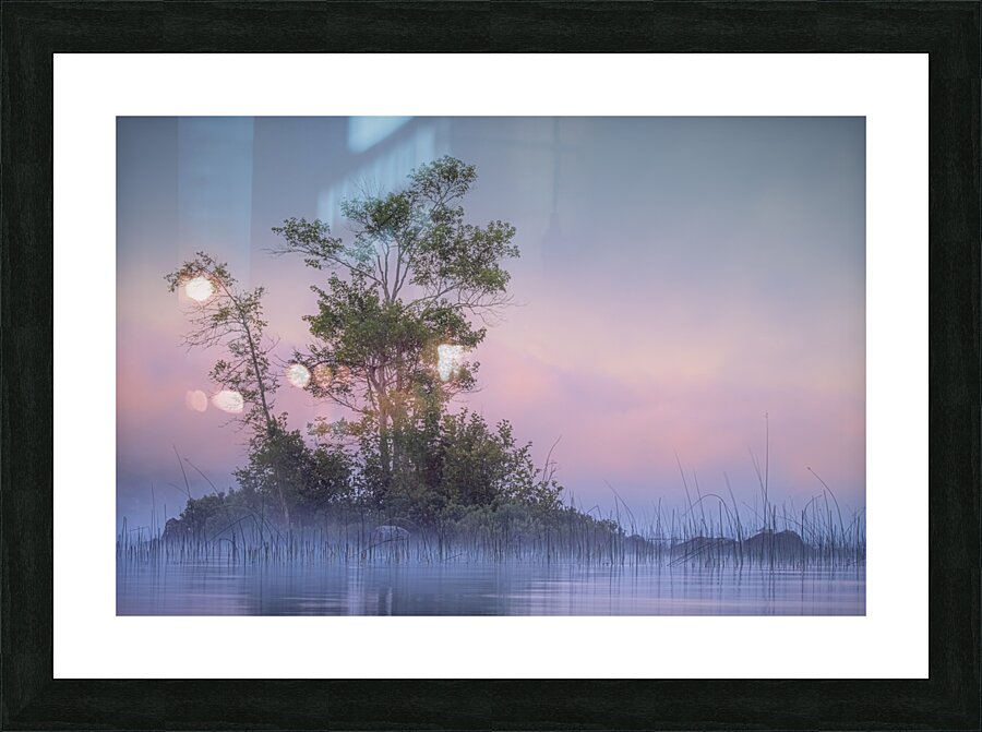 Patience Picture Frame print