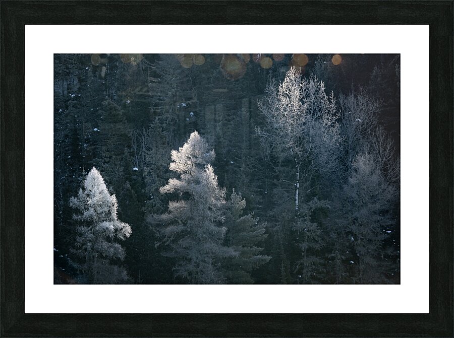 Glimpse Picture Frame print
