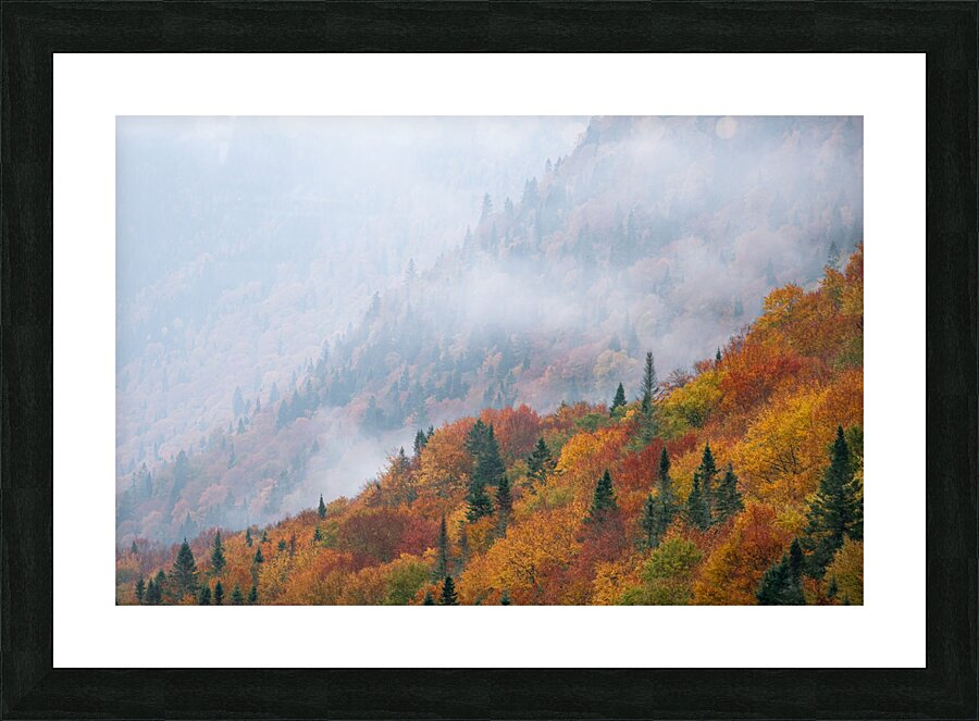 Silence Picture Frame print